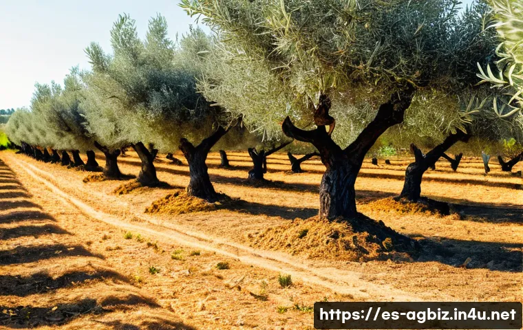 농업경영사 실무 사례 분석 관련 이미지 1