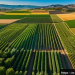 농업경영사 업무 효율성을 높이는 방법 - A vibrant aerial view of a modern agricultural field in Spain, captured during early morning light. ...